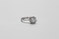 925 SS Moissanite white gold ring with side gemstones